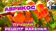 Что делать с урожаем абрикосов? Рекомендации и Рецепты варенья от зрителей!