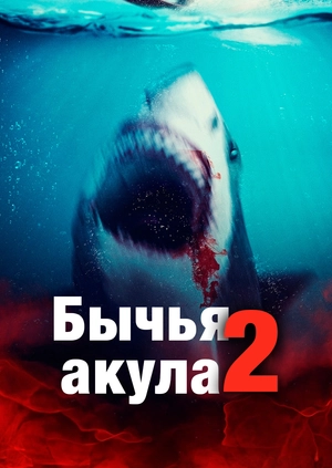 Бычья акула 2