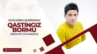 Muxlisbek Qurbonov - Qastingiz bormu (remix by DJ Sherzod)