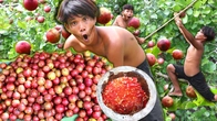 Ultimate Rainforest Survival: Madagascar Plum Picks & Delicious Rainforest Eats | Primitive Boy