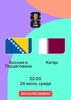 Босния и Герцеговина — Катар