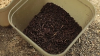 "River Feeder - The Saga of the Dniester Bream"