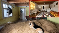 Spent 90 days renovating an old HISTORICAL house