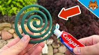 If you HATE Mosquitoes, you have to watch THIS Video(Secret Trick)