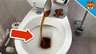 Pour Coffee down the Toilet BEFORE you go on Vacation(Brilliant Reason)