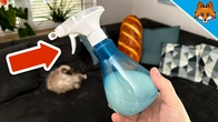 Your Toilet has NEVER been so Clean(Pro Cleaning Trick)