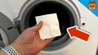 3 sadly Secret Tricks for getting rid of Pet Hair in the Washing Machine(GENIUS)