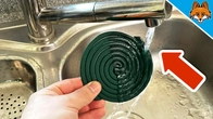 The BEST Solution against Mosquitoes(But almost nobody knows it)