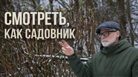 Серія 628