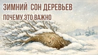 Серія 626