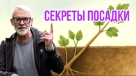 Серія 618