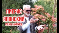 Серія 606