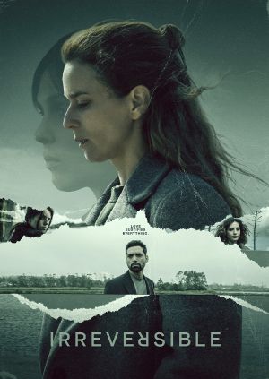 Irreversible — plakat