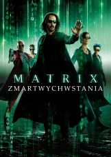 Matrix Zmartwychwstania — plakat