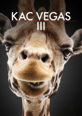 Kac Vegas III — plakat