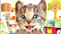 Cute Kitten Little Cat Adventure with Kitten'sPlay Fun Pet Care video Educational games for kids