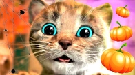 MY LITTLE KITTEN ADVENTURE OF A LITTLE KITTEN Best Learning cartoons Videos for babies! #1320