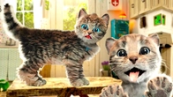 Little Kitten Adventure MONDAY CAT STORY Best Episodes Pet Educational Video for Toddlers & Kids