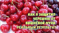 Серія 343