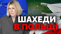Що там у Польщі? Що там НАТО і Трамп? 5 стаття? Третя світова? | Як не стати овочем