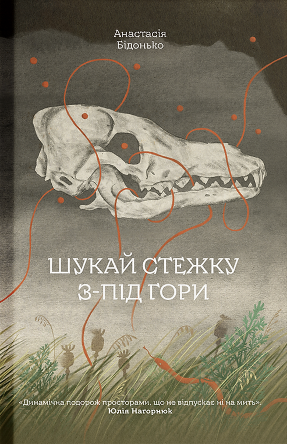 Шукай стежку з-під гори