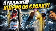 З ГАЛАШЕМ — ВІДРИВ ПО СУДАКУ! Такого жору ми не чекали!