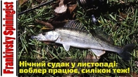 Нічне полювання за судаком у листопаді: мінімум часу — максимум емоцій