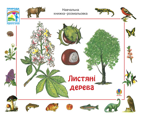 Листяні дерева. Навчальна книжка-розмальовка