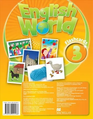 English World 3. Flashcards