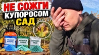Серія 403