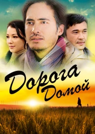 Дорога домой