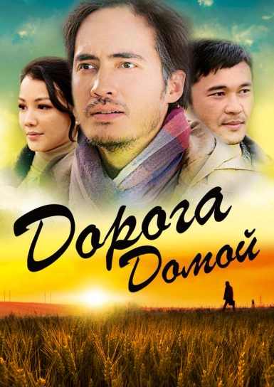 Дорога домой