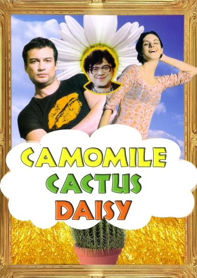 Camomile, Cactus, Daisy