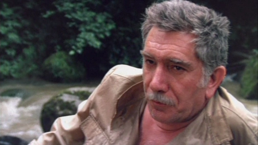 Тайны мадам Вонг