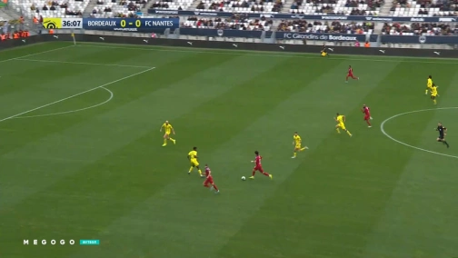 Round 12. Bordeaux — Nantes 2:0. Highlights