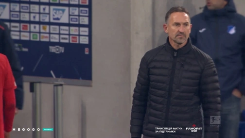 Round 12. Hoffenheim — Mainz 1:5. Highlights