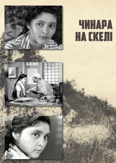 Чинара на скелі