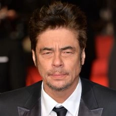 Benicio Del Toro