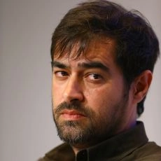 Shahab Hosseini