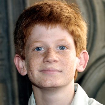 Austin Stout
