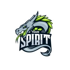 Team Spirit