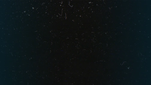 CS:GO. Gambit vs AGF