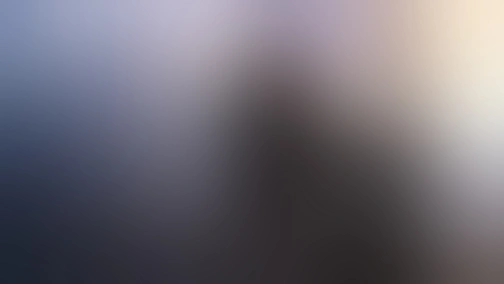 Їжачок плюс черепаха