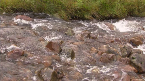 Мужчина, женщина, природа