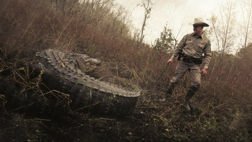 Правосудие Техаса