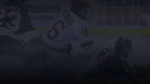 Фінляндія — Італія