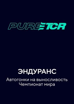 Эндуранс. Автогонки на выносливость. Чемпионат мира
