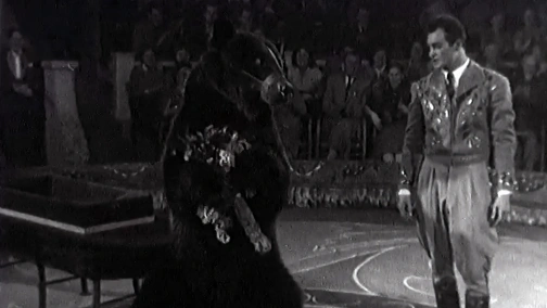 Косолапый друг