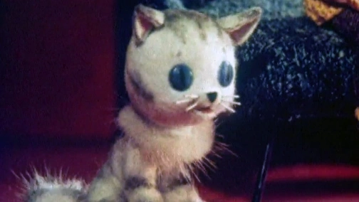 Домашній цирк