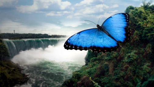 Жизнь: Вода – основа жизни